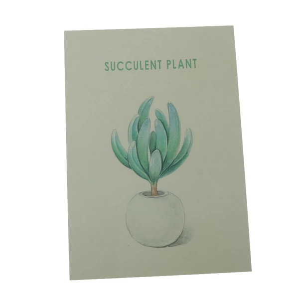 Exclusive Max Photography Stuido Backdrop Leaf Card Picture Succulent Plant Effective