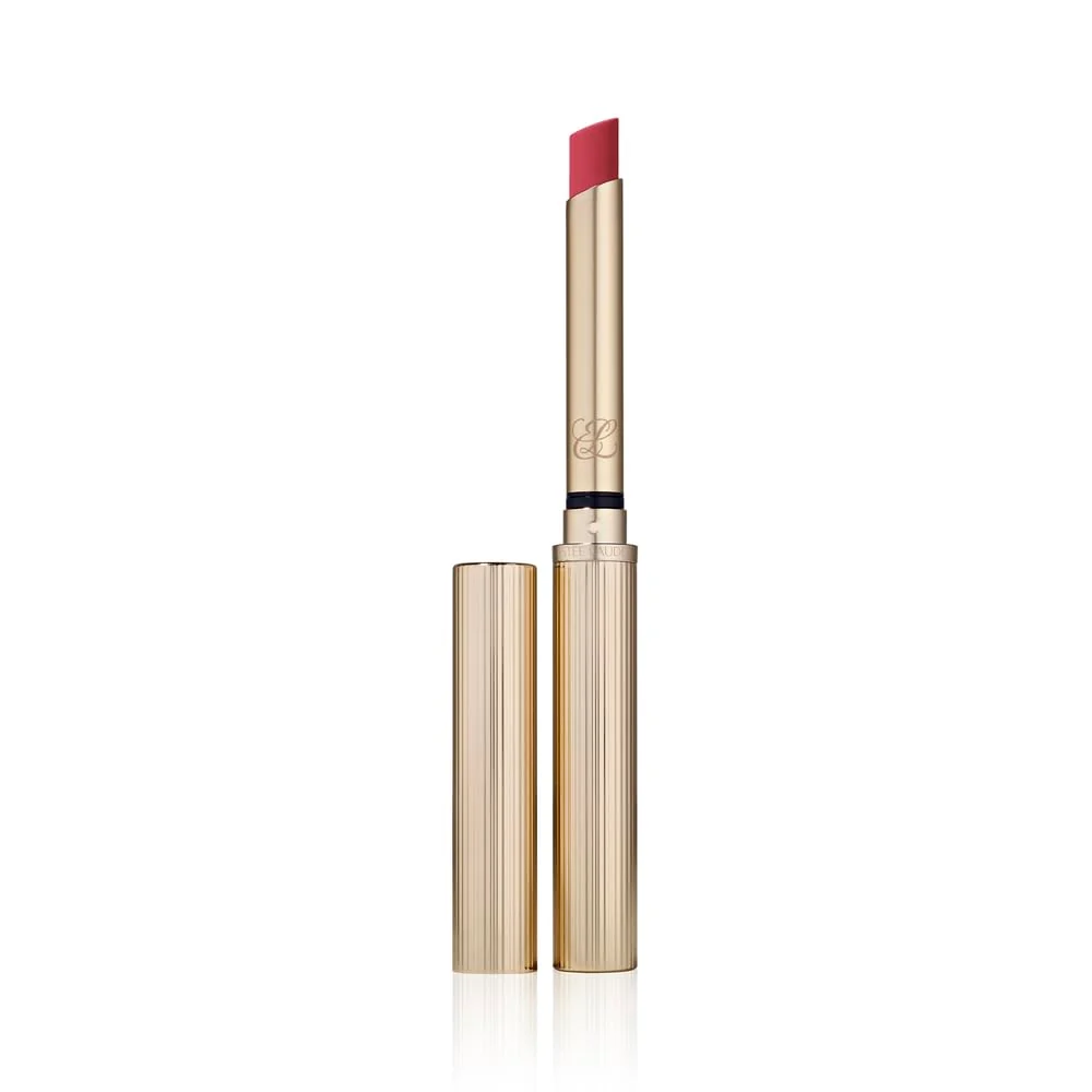 Stylish Estée Lauder Pure Color Explicit Long-Lasting Silk Matte Lipstick for Women 12-Hour Wear 112 High Frequency Environmentally Friendly