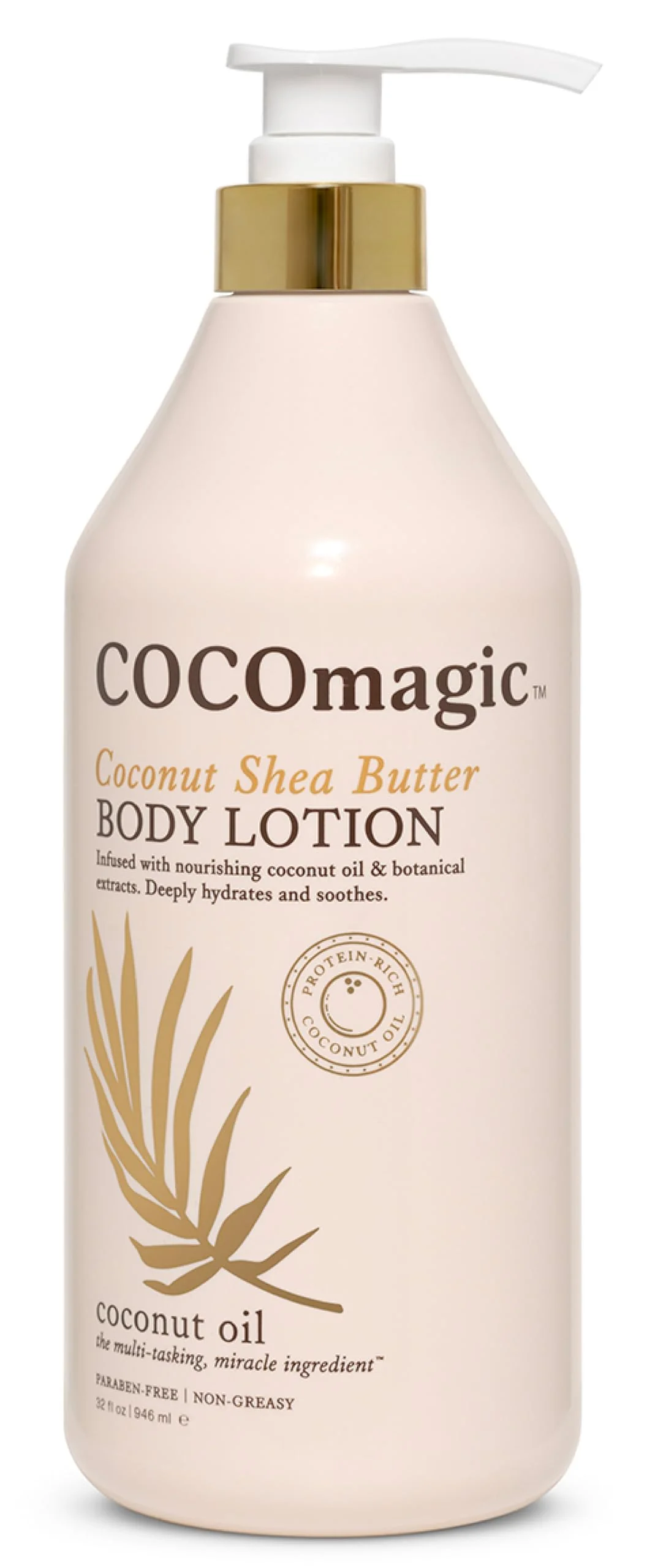 Effective Coco Coconut Shea Butter Body Lotion Deeply Hydrating Non-Greasy Moisturizer for Soft Smooth Skin Paraben- Gentle for All Skin Types Expertly Made