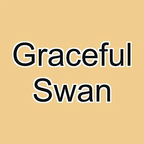 Environmentally Friendly Graftobian F X Aire Airbrush Makeup Graceful Swan Carefully Designed