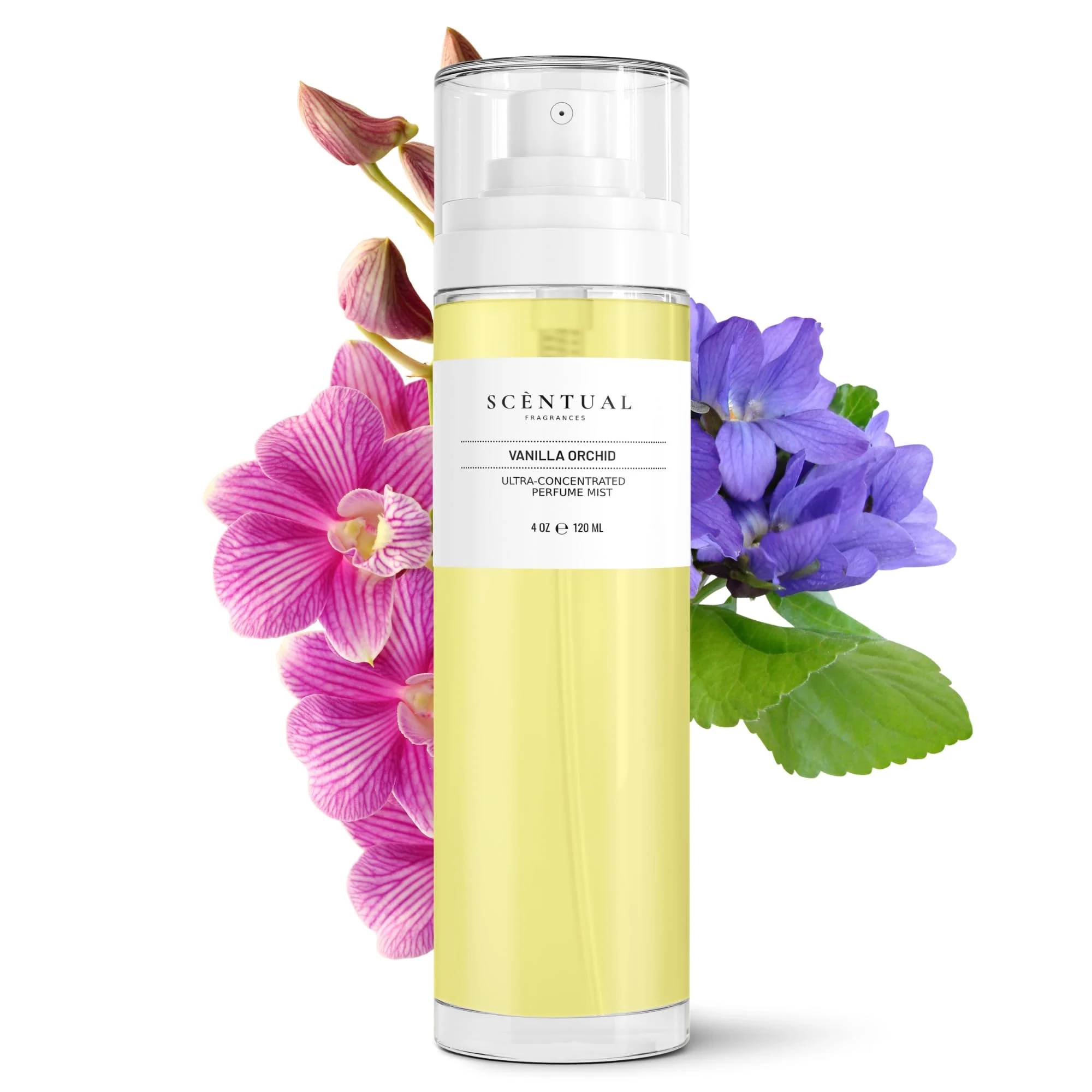 Crafted Scentual Fragrances Ultra-Concentrated Hair Body Perfume Mist Long Lasting Women's Fragrance Gourmand Perfumes for Women Vegan and Cruelty Superior
