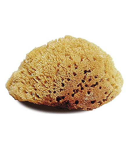 Casual Jacks Inc. Natural Body Sponge Large Proven
