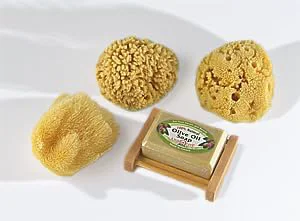 Contemporary Natural Sea Sponge Sampler By SEASATIONALS™ 3 -4 Craft Sized Sponges Smart