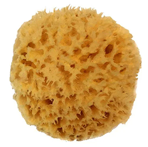 Minimalist Natural Sea Wool Sponge 4-5 by Spa Destinations ® Natural Renewable Resource Creating The in Bath and Shower Experience Enhanced
