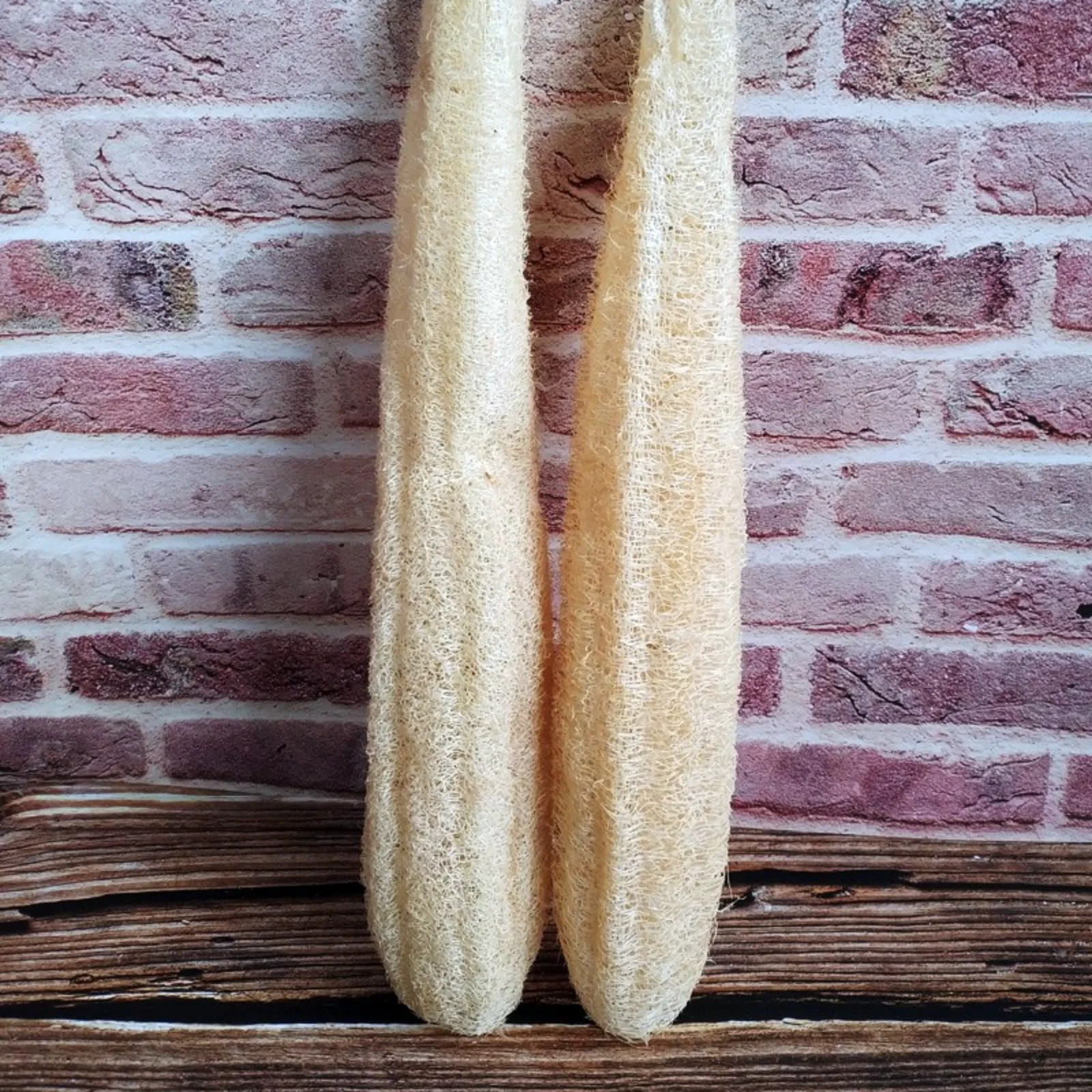 High-End Natural loofah Skin Brush Dish Certified