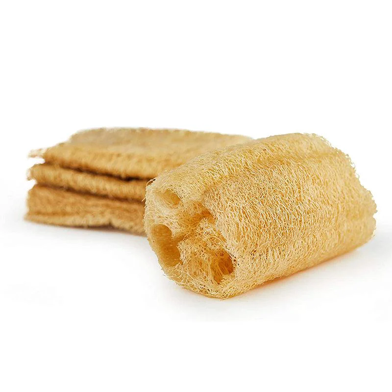 Minimalist Loofah Sponge Effective