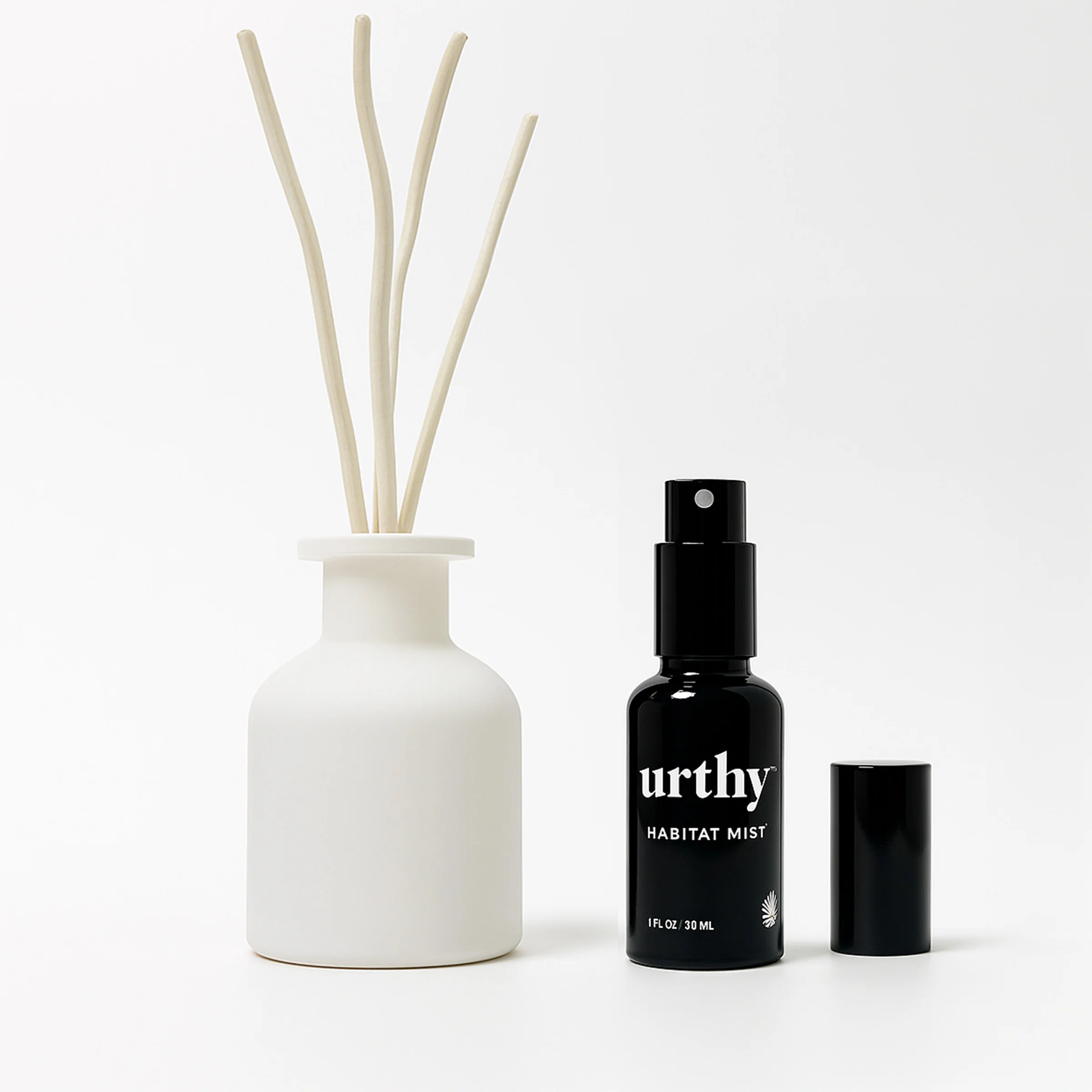 Natural Zen Desk Set Healthy