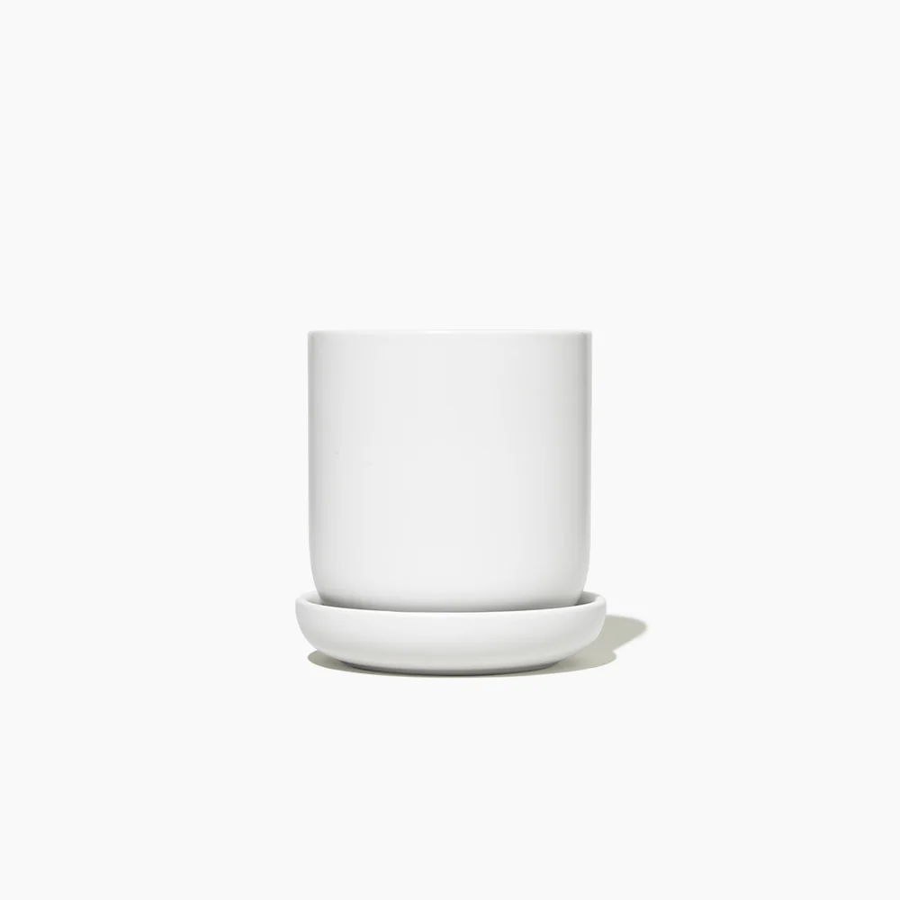 Reliable Stoneware Planter Excellent