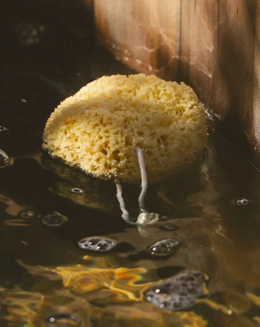 Specialty Mineral Sea Sponge Easy-to-Use
