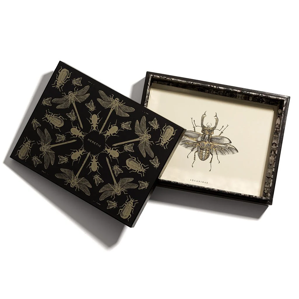 First-Class ENTOMOLOGIST CORRESPONDENCE SET Fine
